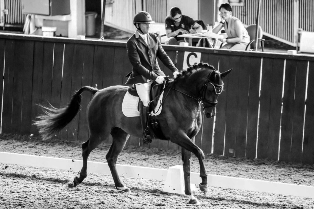 dressage riding